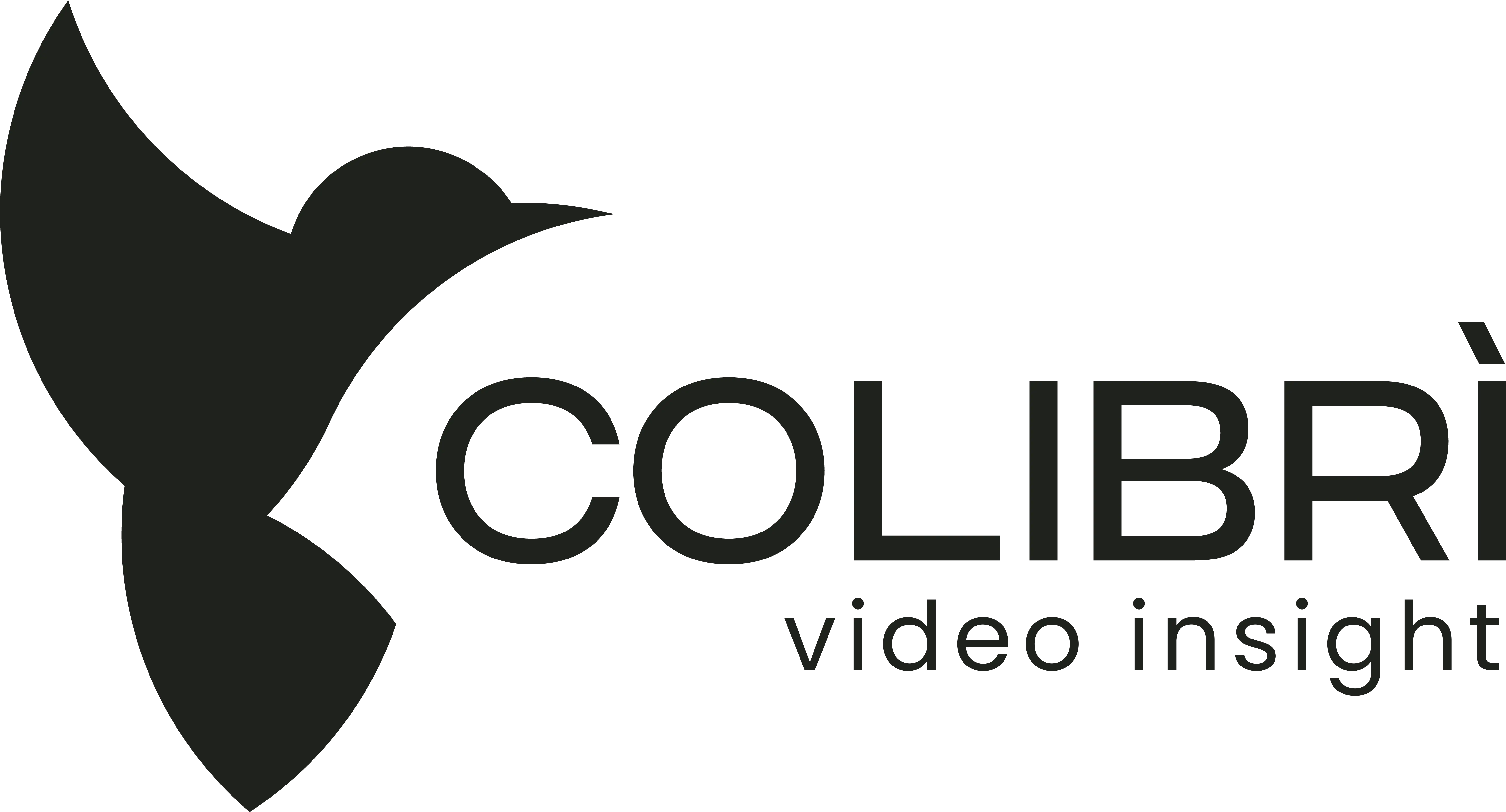 Colibrì Video Insight